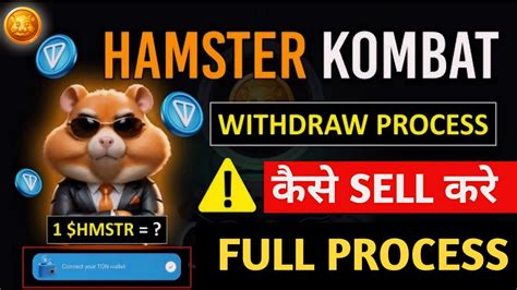 Hamster Kombat Mining Withdraw Hamster Kombat Ton Wallet Hamster