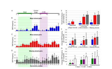 Sequence Evolution Of Ohnologous Mature Mirnas A Schematic