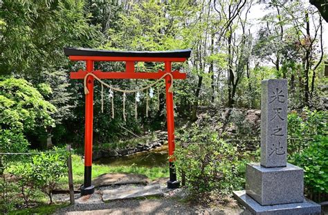 埼玉の龍神様と密接な神社とお寺♪辰年にチェックしたいパワースポット 埼玉日和（さいたまびより）