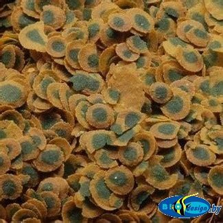 Tetra Pro Algae Корм со спирулиной для всех видов рыб, 10 л | Аквариумы ...