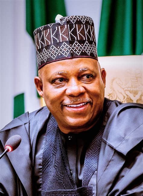 Nigeria holds key to Africa’s greatness - Shettima - Blueprint