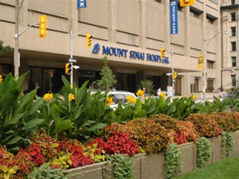 Mount Sinai Hospital | Department of Anesthesiology and Pain Medicine