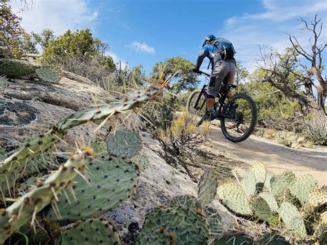 Secret Trails and Hidden Canyons: Mountain Biking Gooseberry Mesa