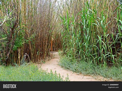 Small Brick Grotto Image And Photo Free Trial Bigstock