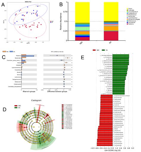 Ijms Free Full Text The Relationship Of Tumor Microbiome And Oral