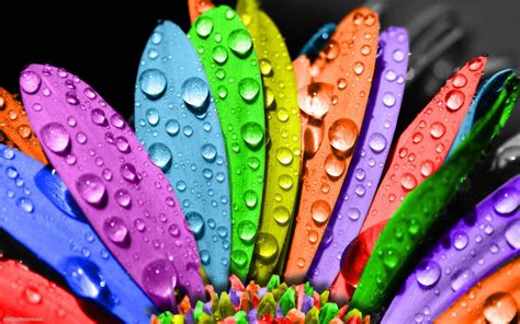 4k Colorful Desktop Wallpapers Wallpaper Cave