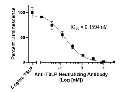 Tslp Responsive Luciferase Reporter Ba F Cell Line