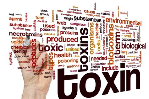 Hidden Toxins We Must Be Aware Of - Copper, Iron, And Parasites