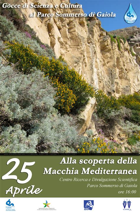 Parco Sommerso Di Gaiola Area Marina Protetta 1