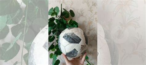 Футбольный мяч adidas telstar купить в Дрезне | Хобби и отдых | Авито