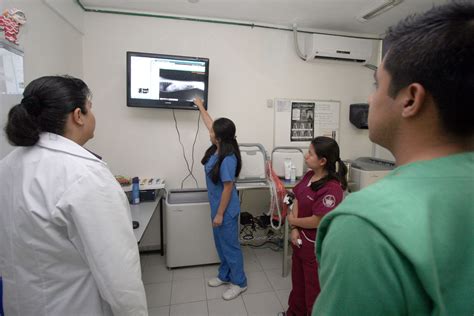 El Hospital Veterinario Para Peque As Especies De La Buap Semillero De