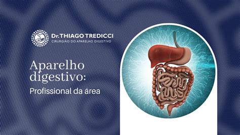 Médico Aparelho Digestivo Guia De Cuidados E Tratamento