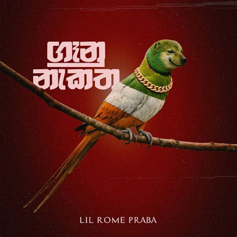 album  lil rome praba