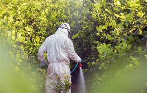 Farmer Man Spraying Fumigating Pesti Pest Control Weed Insecticide