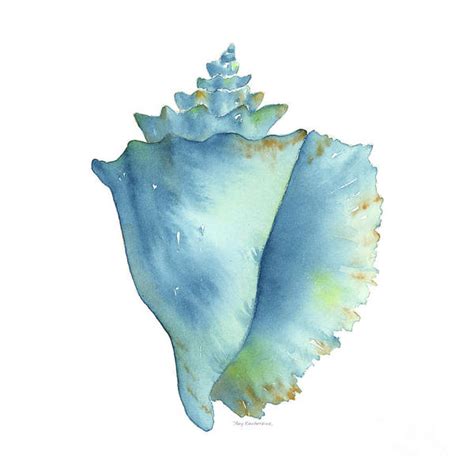 Conch Shell Paintings