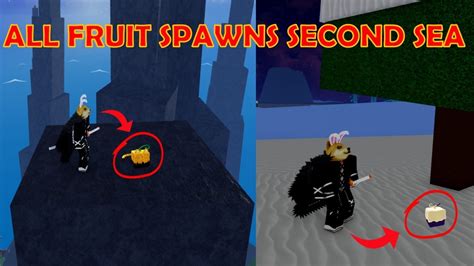 All Fruit Spawn Locations Bloxfruits Second Sea Youtube