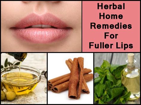 Herbal Home Remedies For Fuller Lips - Boldsky.com