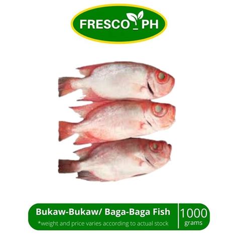 Bukaw Bukaw Baga Baga Fish 1kg