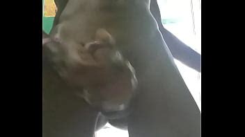 Golpear Uno En Casa XVIDEOS