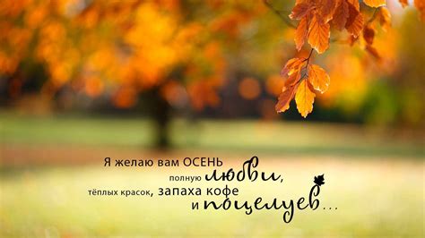 Цитаты про осень