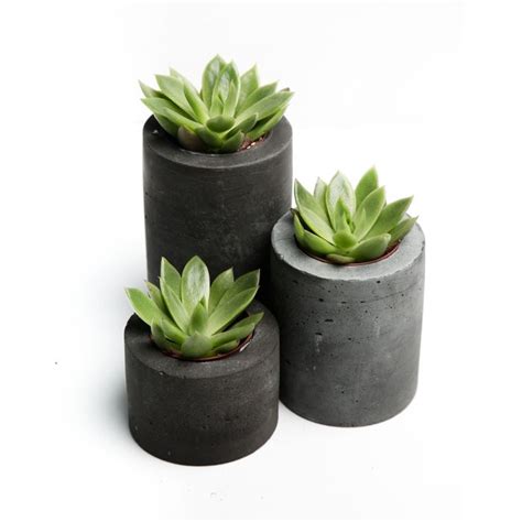 Бетонные кашпо и горшки