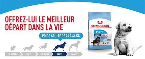 Royal Canin Maxi Puppy/Junior pour chiot | zooplus