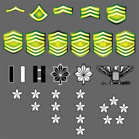 US Army rank insignia stock vector. Illustration of enlisted - 8820849