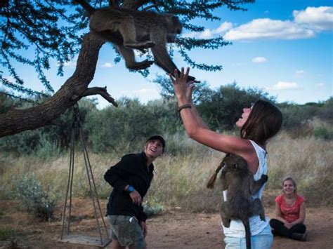 Volunteering Vacations With Animals Responsible Travel