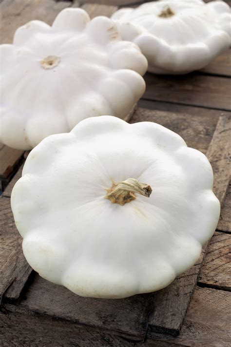 Patisson | Etter Ried Gemüse und Jungpflanzen