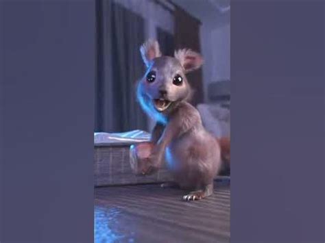 белка и орех а а а - YouTube