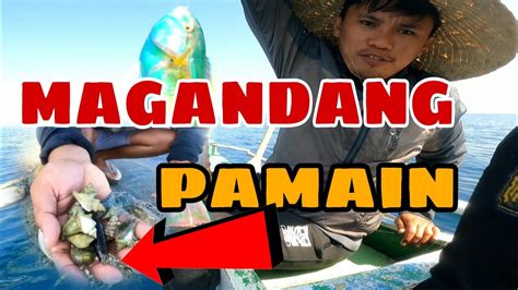 Umang Mabisang Pamain Sa Isdang Bato Lonz I Tv Harabas Amazingsea