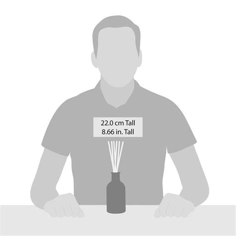 Atlantic Sea Salt And Clary Sage Diffuser : Enesco – licensed giftware ...