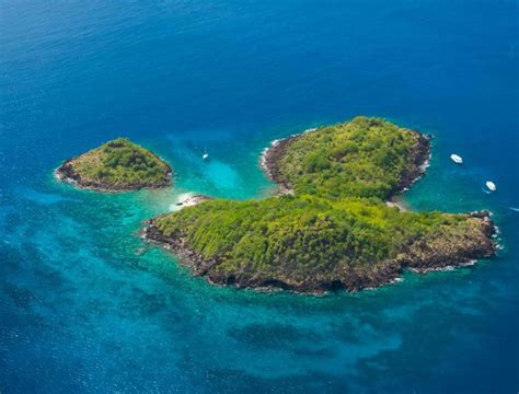 Plongée Réserve Cousteau Guadeloupe Lastminute Excursion