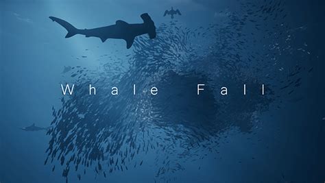 メンダコやクジラなど多彩な海の生き物を操作するゲーム『whale Fall』のストアページが公開。時には魚の群れそのものを操りながら、神秘的で恐ろしい海の世界を心ゆくまで探索しよう Numan