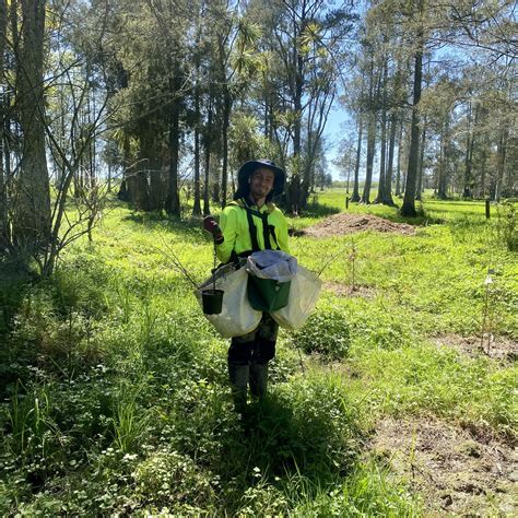 Ecological Restoration Projects | Tītoki Landcare