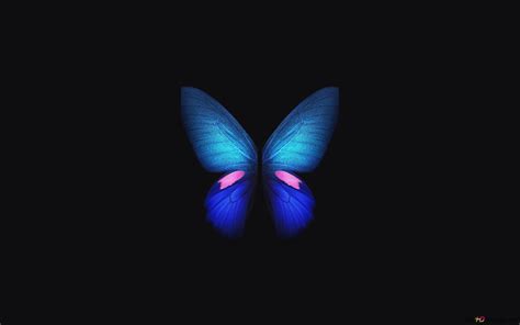 Обои синие бабочки (много фото) - deviceart.ru