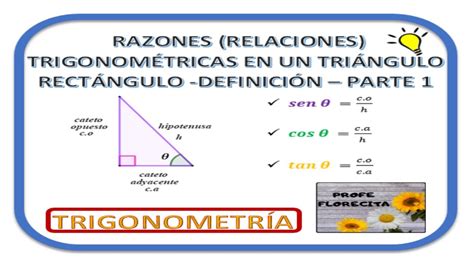 Cuales Son Las Funciones Trigonometricas De Un Triangulo Rectangulo Halos