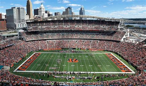 cincinnati bengals stadium dude