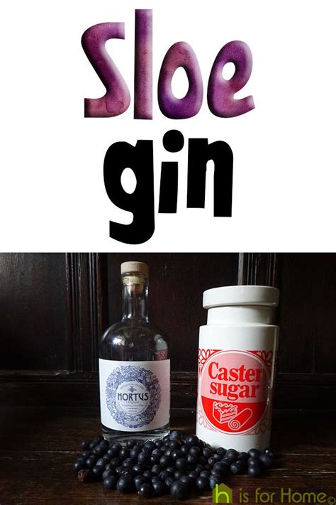 Simple Sloe Gin Recipe H Is For Home Harbinger Recipe Sloe Gin