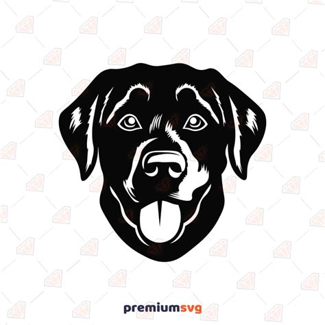 Labrador Dog Silhouette Svg Cut File Premiumsvg