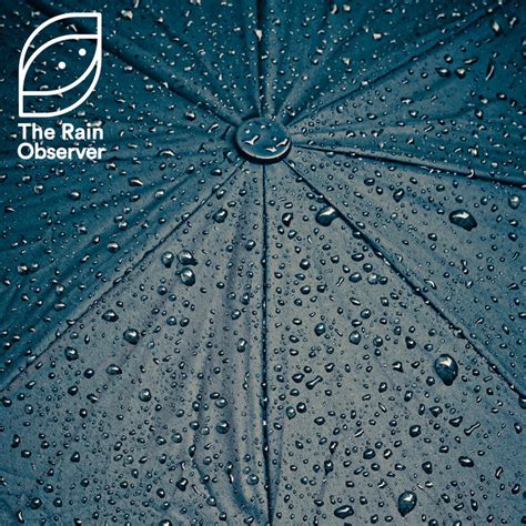 Rainy Sleep Melodies Album By The Rain Observer Spotify