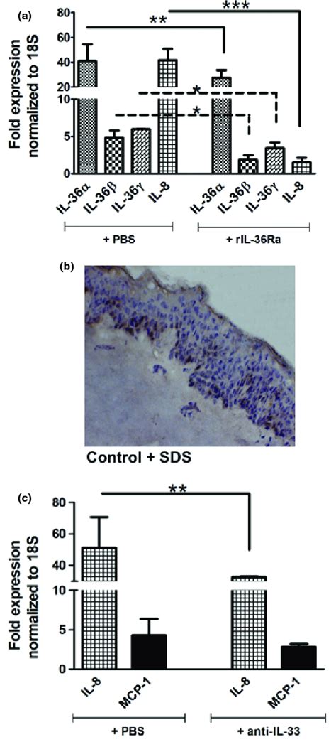 A Mrna Fold Expression Of Interleukin Il 36a Il 36b Il 36c And Download Scientific