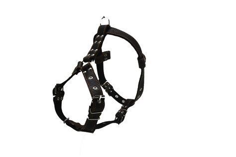 Шлейка для среднеазиатской овчарки кожаная: продажа, цена в Ровно ...