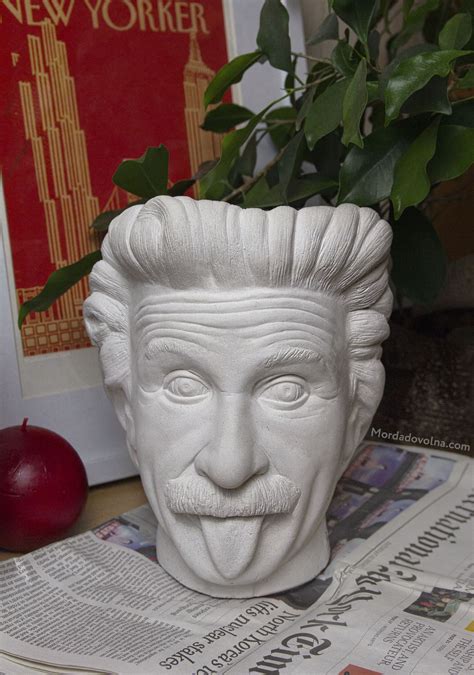 Арт-ваза "Эй, Эйнштейн!" | Planter pots, Planters