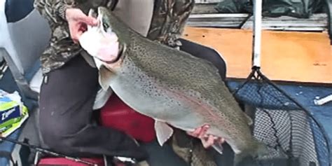 World Record 37 Pound Rainbow Trout Caught On Film Outdoor Enthusiast