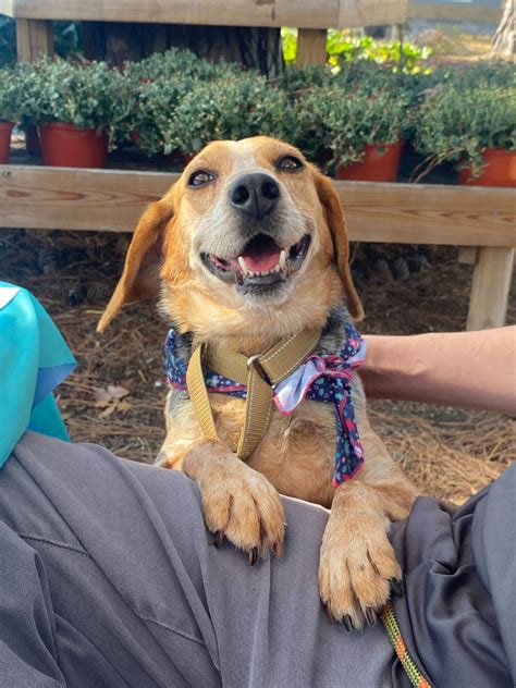 Chenango SPCA - Chenango SPCA added a new photo.