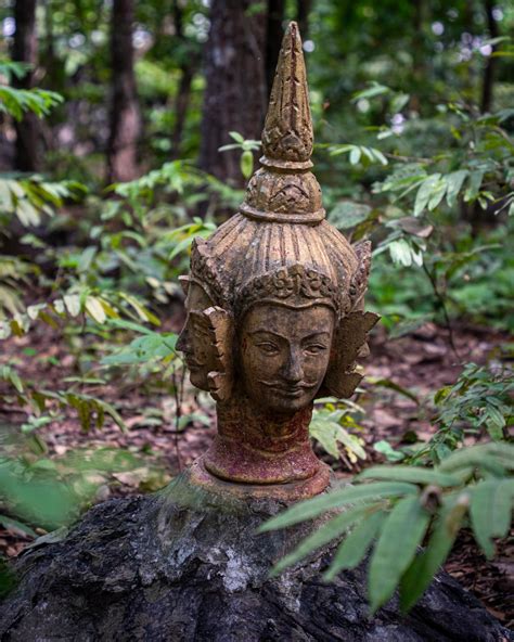 Secret Luang Prabang - A Walk to a hidden Jungle Shrine — Adventures of