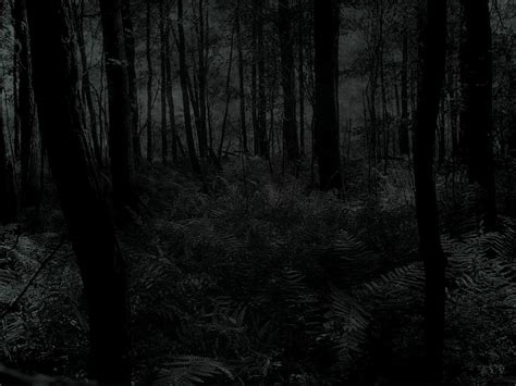 Creepy Forest Wallpapers - Top Free Creepy Forest Backgrounds ...