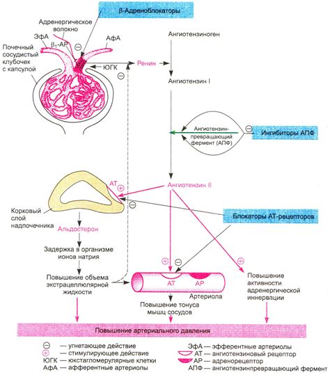 Лортенза: инструкция по применению, аналоги и отзывы