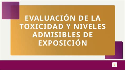 2 6 EvaluaciÓn De La ToxicologÍa Y Valores LÍmites De ExposiciÓn